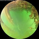 ./images/calvert/underwater/20260628/underwater20260628_172501M.jpg