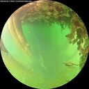 ./images/calvert/underwater/20260628/underwater20260628_173002M.jpg