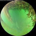 ./images/calvert/underwater/20260628/underwater20260628_173501M.jpg