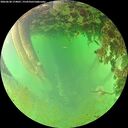 ./images/calvert/underwater/20260628/underwater20260628_174001M.jpg