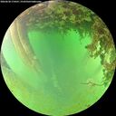 ./images/calvert/underwater/20260628/underwater20260628_174501M.jpg