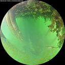 ./images/calvert/underwater/20260628/underwater20260628_175001M.jpg