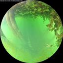 ./images/calvert/underwater/20260628/underwater20260628_175501M.jpg