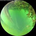 ./images/calvert/underwater/20260628/underwater20260628_180002M.jpg