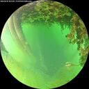 ./images/calvert/underwater/20260628/underwater20260628_181502M.jpg