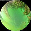 ./images/calvert/underwater/20260628/underwater20260628_182501M.jpg