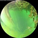 ./images/calvert/underwater/20260628/underwater20260628_183001M.jpg