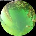 ./images/calvert/underwater/20260628/underwater20260628_183501M.jpg