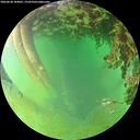 ./images/calvert/underwater/20260628/underwater20260628_184001M.jpg