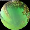 ./images/calvert/underwater/20260628/underwater20260628_184501M.jpg