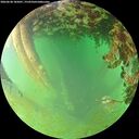 ./images/calvert/underwater/20260628/underwater20260628_185001M.jpg