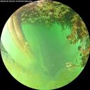 ./images/calvert/underwater/20260628/underwater20260628_185501M.jpg