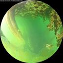 ./images/calvert/underwater/20260628/underwater20260628_190501M.jpg
