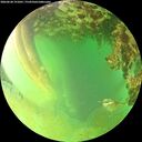 ./images/calvert/underwater/20260628/underwater20260628_191001M.jpg