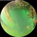 ./images/calvert/underwater/20260628/underwater20260628_191501M.jpg