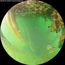 ./images/calvert/underwater/20260628/underwater20260628_192001M.jpg