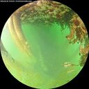 ./images/calvert/underwater/20260628/underwater20260628_192501M.jpg