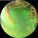 ./images/calvert/underwater/20260628/underwater20260628_193001M.jpg