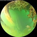 ./images/calvert/underwater/20260628/underwater20260628_194001M.jpg