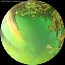 ./images/calvert/underwater/20260628/underwater20260628_194501M.jpg