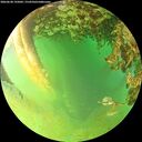 ./images/calvert/underwater/20260628/underwater20260628_195002M.jpg