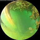 ./images/calvert/underwater/20260628/underwater20260628_195501M.jpg