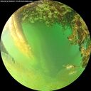 ./images/calvert/underwater/20260628/underwater20260628_200001M.jpg