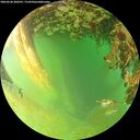 ./images/calvert/underwater/20260628/underwater20260628_200501M.jpg