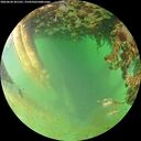 ./images/calvert/underwater/20260628/underwater20260628_201501M.jpg