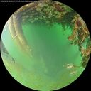 ./images/calvert/underwater/20260628/underwater20260628_202001M.jpg