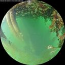 ./images/calvert/underwater/20260628/underwater20260628_202501M.jpg