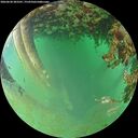 ./images/calvert/underwater/20260628/underwater20260628_203501M.jpg