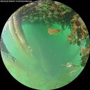 ./images/calvert/underwater/20260628/underwater20260628_204001M.jpg