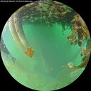 ./images/calvert/underwater/20260628/underwater20260628_204502M.jpg