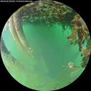 ./images/calvert/underwater/20260628/underwater20260628_205002M.jpg