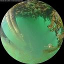 ./images/calvert/underwater/20260628/underwater20260628_210001M.jpg
