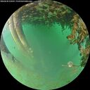 ./images/calvert/underwater/20260628/underwater20260628_210501M.jpg