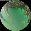 ./images/calvert/underwater/20260628/underwater20260628_211002M.jpg