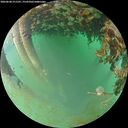 ./images/calvert/underwater/20260628/underwater20260628_211501M.jpg