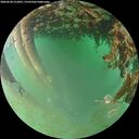 ./images/calvert/underwater/20260628/underwater20260628_212001M.jpg
