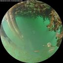 ./images/calvert/underwater/20260628/underwater20260628_212501M.jpg