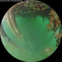 ./images/calvert/underwater/20260628/underwater20260628_213001M.jpg