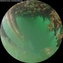 ./images/calvert/underwater/20260628/underwater20260628_213501M.jpg