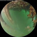 ./images/calvert/underwater/20260628/underwater20260628_214501M.jpg