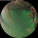 ./images/calvert/underwater/20260628/underwater20260628_215002M.jpg