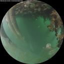 ./images/calvert/underwater/20260628/underwater20260628_215501M.jpg