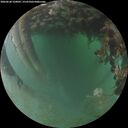 ./images/calvert/underwater/20260628/underwater20260628_220001M.jpg
