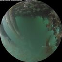 ./images/calvert/underwater/20260628/underwater20260628_220501M.jpg