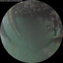 ./images/calvert/underwater/20260628/underwater20260628_222001M.jpg