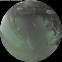./images/calvert/underwater/20260629/underwater20260629_050501M.jpg